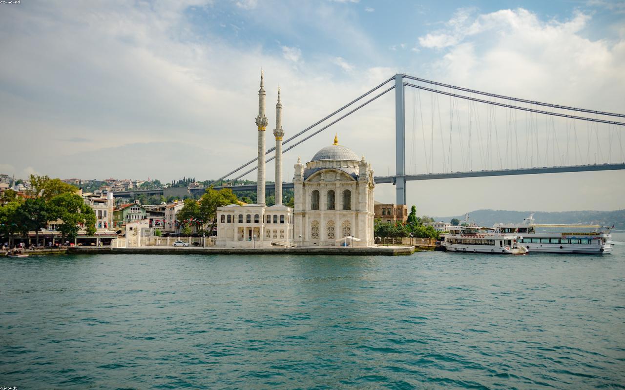 Boğazda çapari takımıyla yakalanmış palamut balıkları